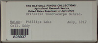 Image Associated With the Occurence